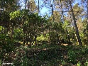 Belle propriété forestière de 40ha à proximité de la côte varoise
