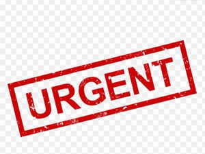 Urgent recherche location