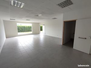 Local professionnel ou commercial