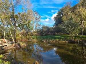 Terrain 10466 m² MESNIL ST PERE