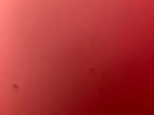 Cherche location sur Nancy & alentours