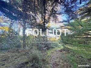 Terrain 490 m² AGON COUTAINVILLE