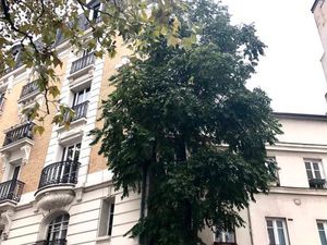 Location appartement Boulogne 2 pièces