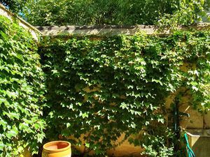 Maison première ceinture Saint Ruf Nord