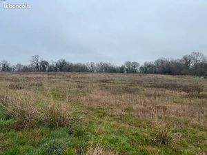 Terrain 2 480 m² Saint Sever