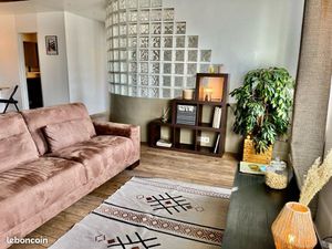 Très beau T2 Lyon 9