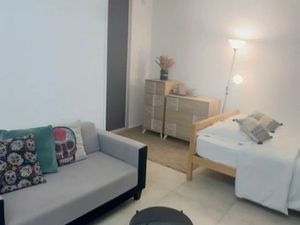 Pietranera - T1 meublé et équipé