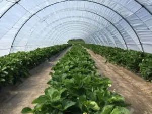 Recherche location serre