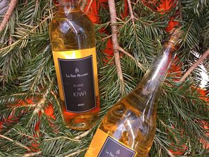 Fonds de commerce artisanal - Alcool de kiwis