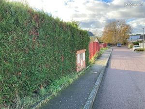 Terrain constructible