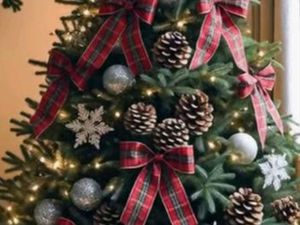 Recherche maison F3 à louer Porto vecchio où Lecci