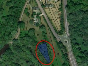 Terrain non constructible avec chênes adultes sur pieds