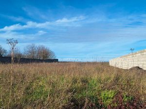 Terrain 1 975 m² Mornac Sur Seudre