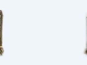 Location local + remise à Cournonterral