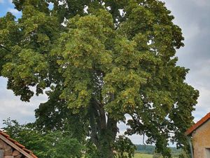 Fermette à rénover + terrain 3000 m² ANDELAROCHE