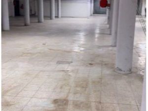 Local commercial 800m2