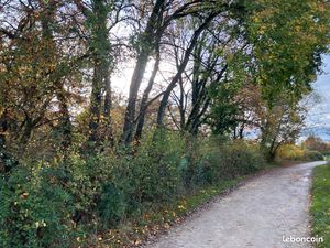 Terrain secteur bois marteau