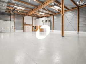 Local d'activité 902 m²