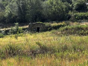 Terrain 14855 m² Latour-de-France