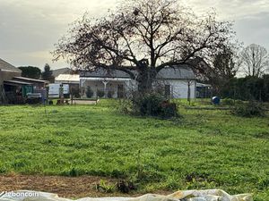 Terrain constructible