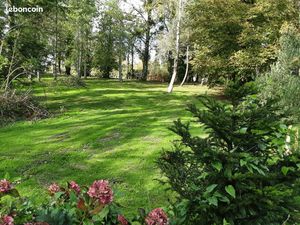 Terrain constructible