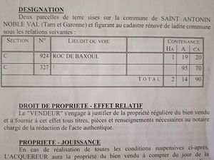 Terrain non constructible boisé