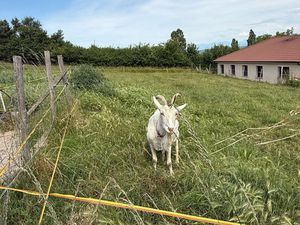 Recherche parcelle en location