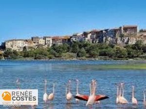 Maison en Viager 7 pièces 290 m²