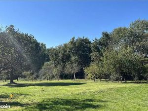 Forêt 788 m² Leguevin