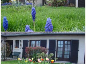 Maison de plein pied