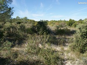 Terrain 11h 55 d'un seul tenant non constructible