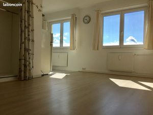 Grand F1 meublé neudorf proche esplanade kehl