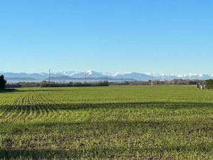 Terrain 1 135 m² Lafitte Vigordane