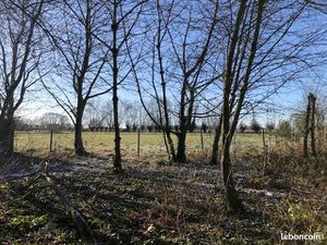 Terrain - Centre ville - 790m2