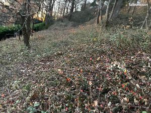 Terrain constructible Rochetaillée