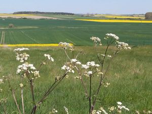 Terrains constructible Loir et Cher