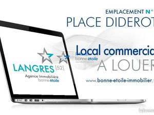 Local 69 m² Langres