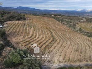 Terrain agricole 28 875 m² Cassagnes