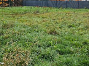 Terrain constructible