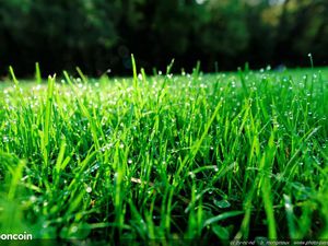 Terrain 401 m² Altkirch