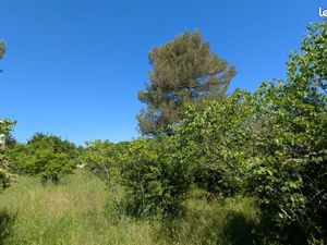 Terrain 741 m² Montpellier