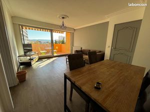 Magnifique et grand T2 - 60m² - terrasse - centre ville