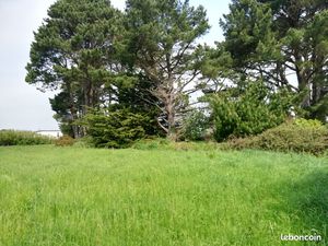 Terrain constructible hors lotissement