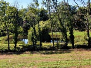 Terrain 1325m2 cadre bucolique
