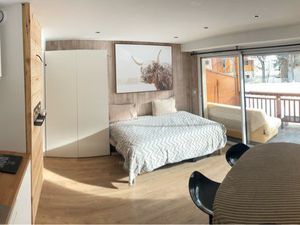 Appartement 30m2 100 m des pistes