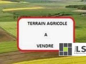 Terrain 16910 m² Laussonne
