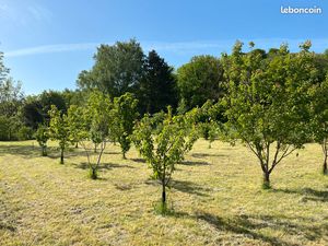 Verger de 2570 m² - Entretien parfait - Vue exceptionnelle