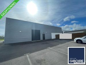 Local d'activité 800 m²