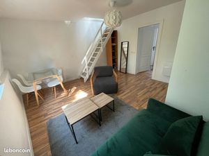 Appartement T2/T1bis duplex 45m2 au sol  lumineux traversant situé en plein centre de Lill