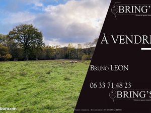 Terrain agricole 6 630 m² Villeneuve En Perseigne